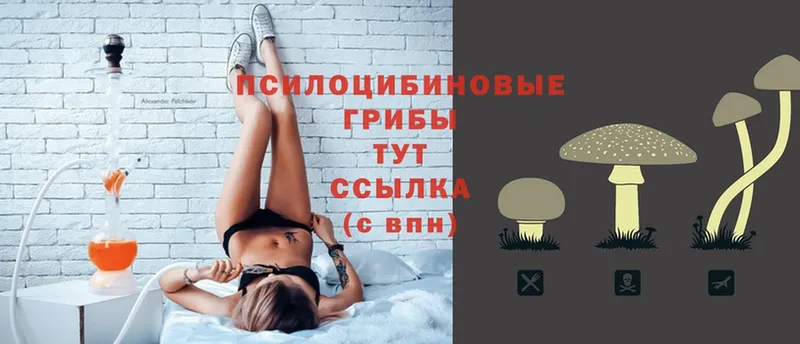 Псилоцибиновые грибы ЛСД  shop телеграм  Верхняя Тура 